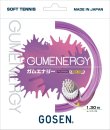 画像2: ◎GUMENERGY/ガムエナジー (2)